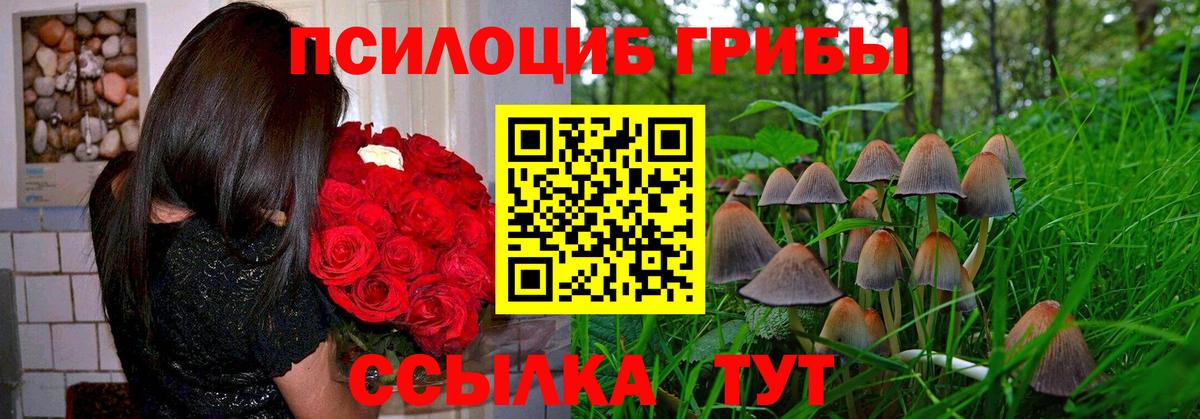 Псилоцибиновые грибы GOLDEN TEACHER  Вход с VPN  Благодарный  Галлюциногенные грибы мицелий 
